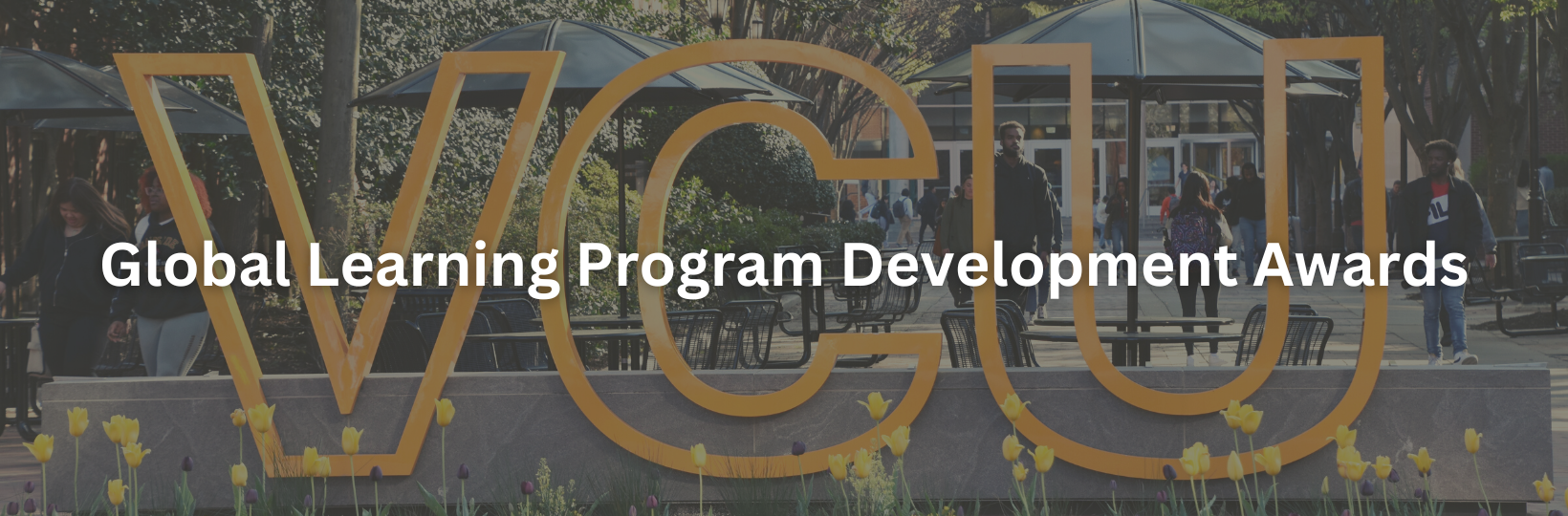Global Learning Program Development Awards